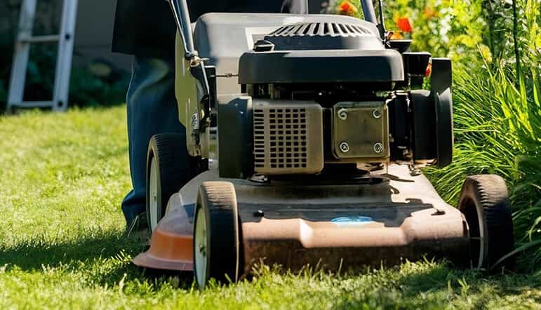 关于不同树木解决方案的信息，为小型人行道种植花园博客的最佳实践。
